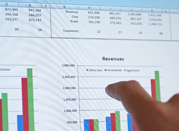 Business Risk Consulting