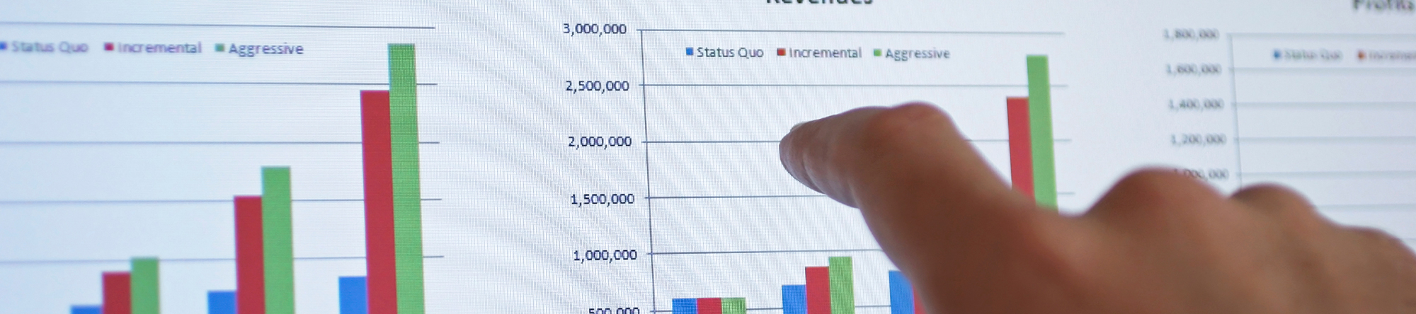 Business Risk Consulting