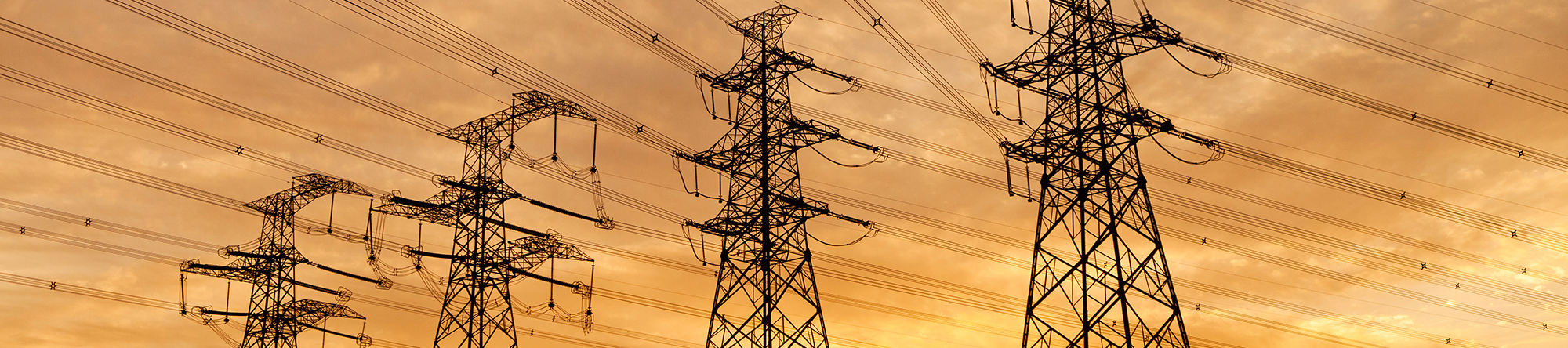 Branchen-Spezialisierung