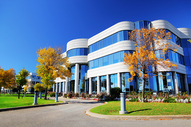 modern office building with glass windows, autumn trees, and a curved design